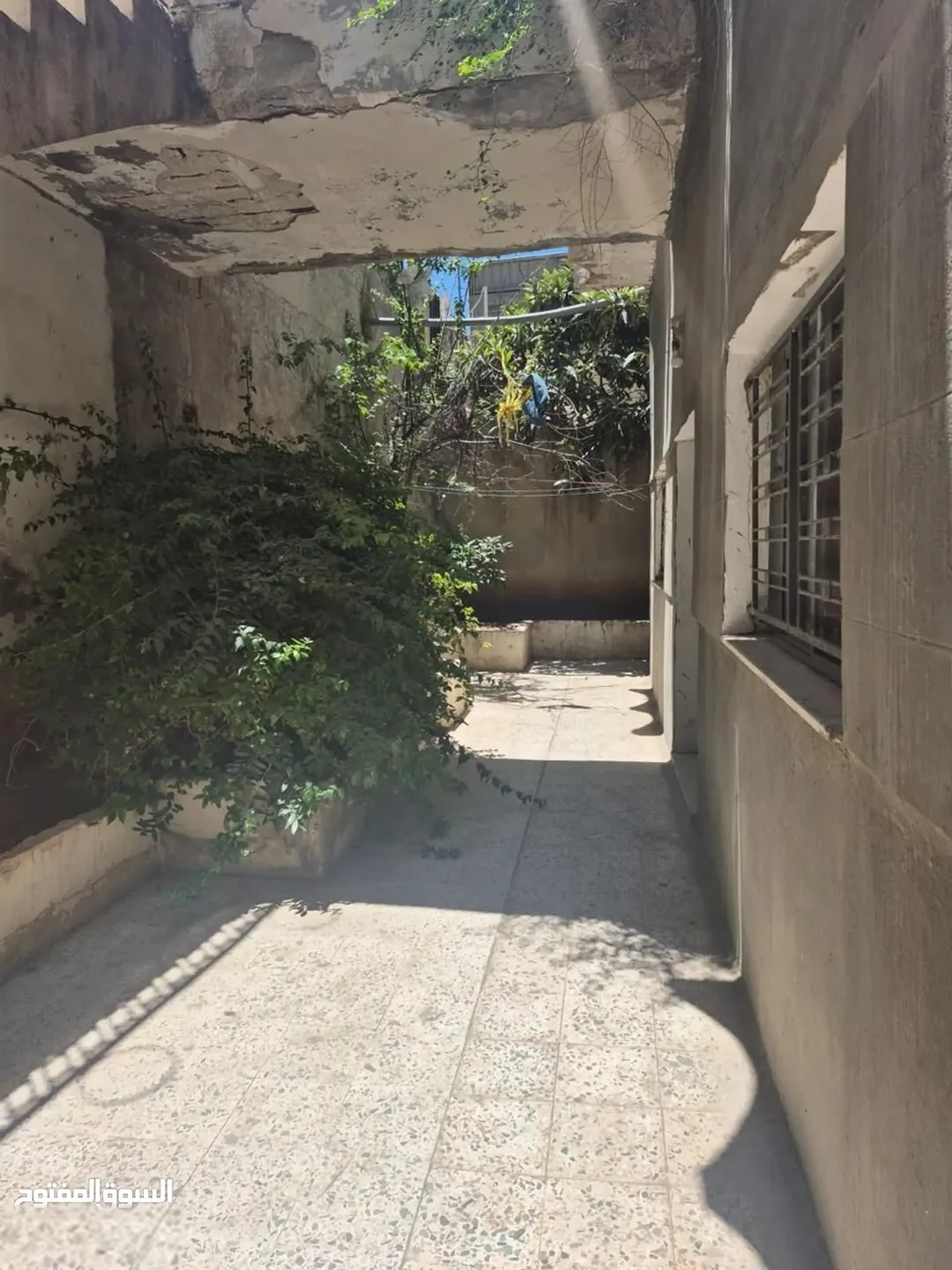 فرصة استثمارية مميزة – عمارة سكنية كاملة للبيع في حي العماوي – الجبل الأخضر – عمّان