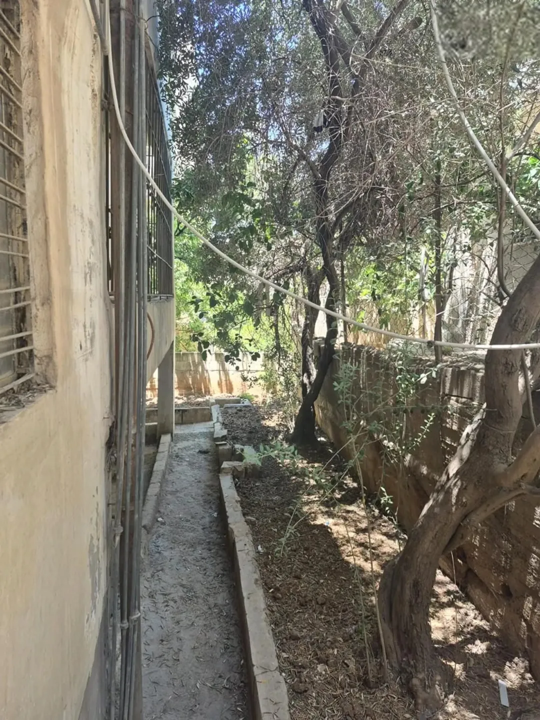 فرصة استثمارية مميزة – عمارة سكنية كاملة للبيع في حي العماوي – الجبل الأخضر – عمّان