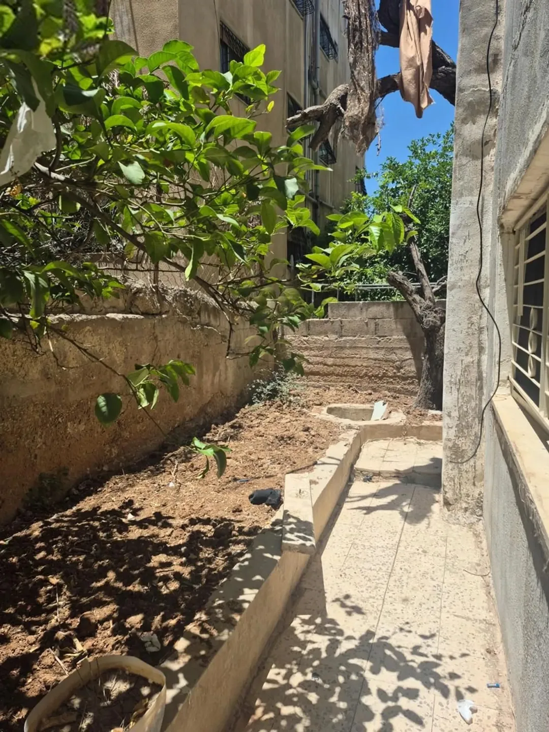 فرصة استثمارية مميزة – عمارة سكنية كاملة للبيع في حي العماوي – الجبل الأخضر – عمّان