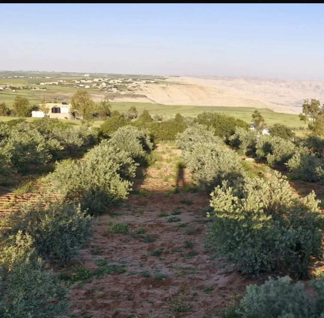مزرعة خلابة للبيع في ذيبان