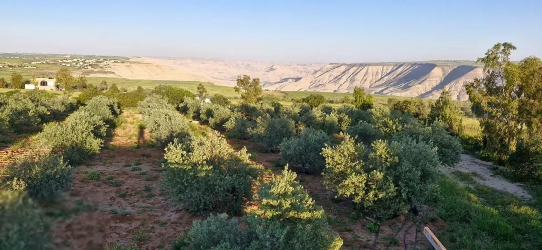 مزرعة خلابة للبيع في ذيبان