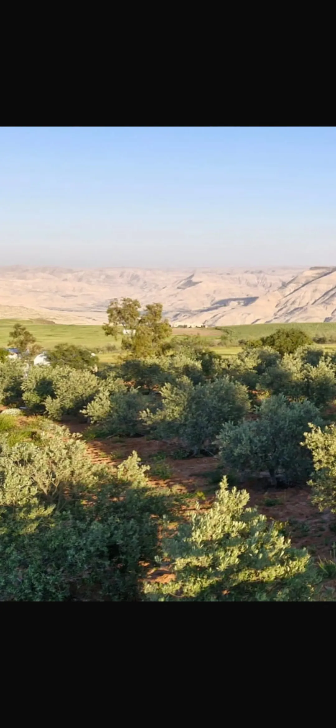 مزرعة خلابة للبيع في ذيبان