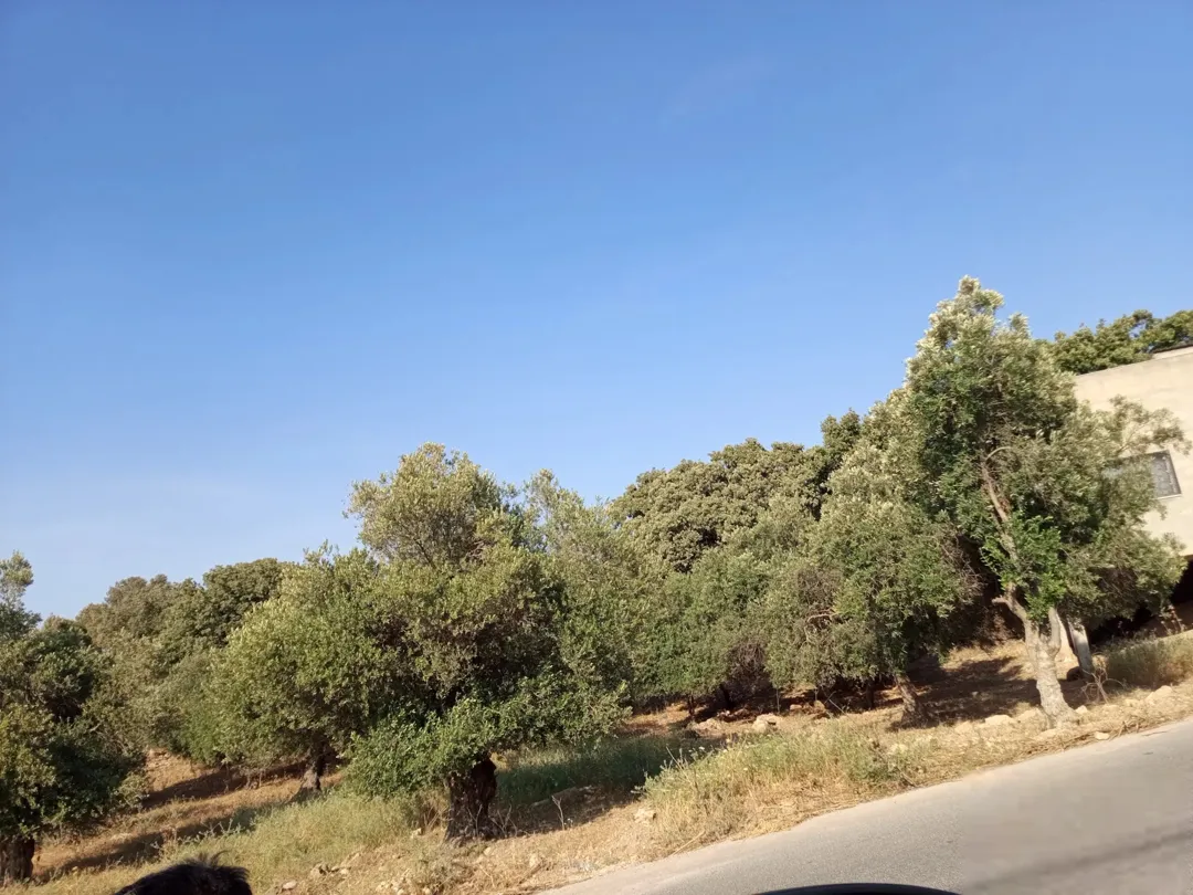 أرض سكنية للبيع في كفر أسد – إربد