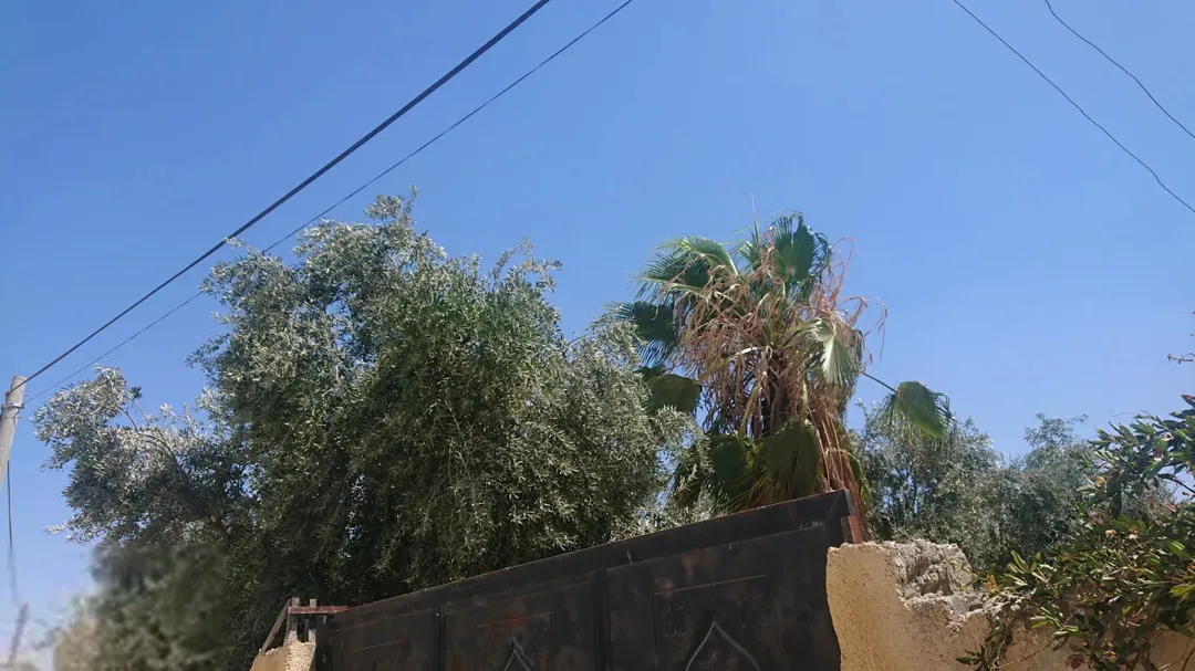 بيت مستقل على قطعة أرض واسعة في قرية مليح