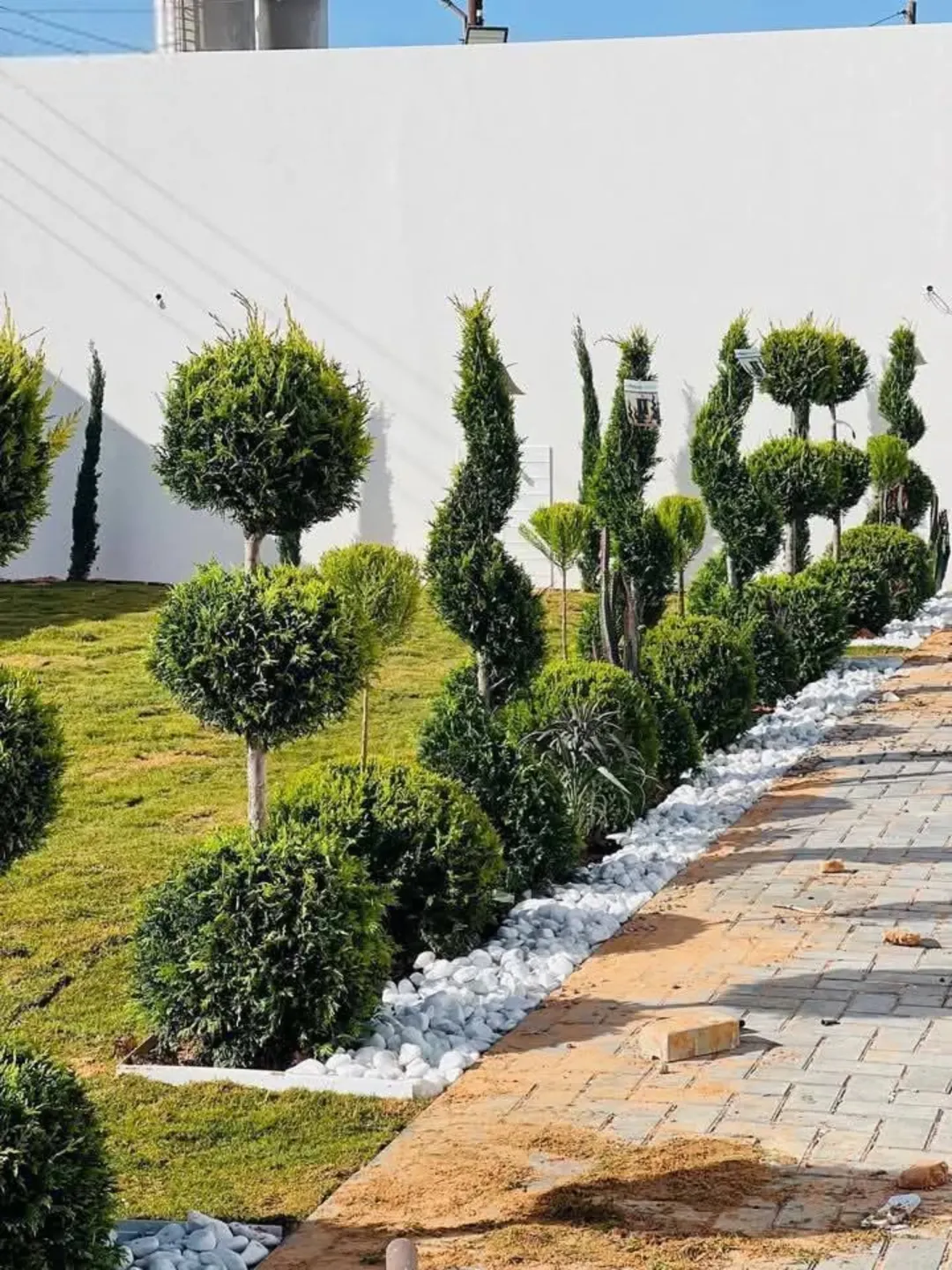 أرض زراعية مميزة للبيع في إربد – إسكان الضباط