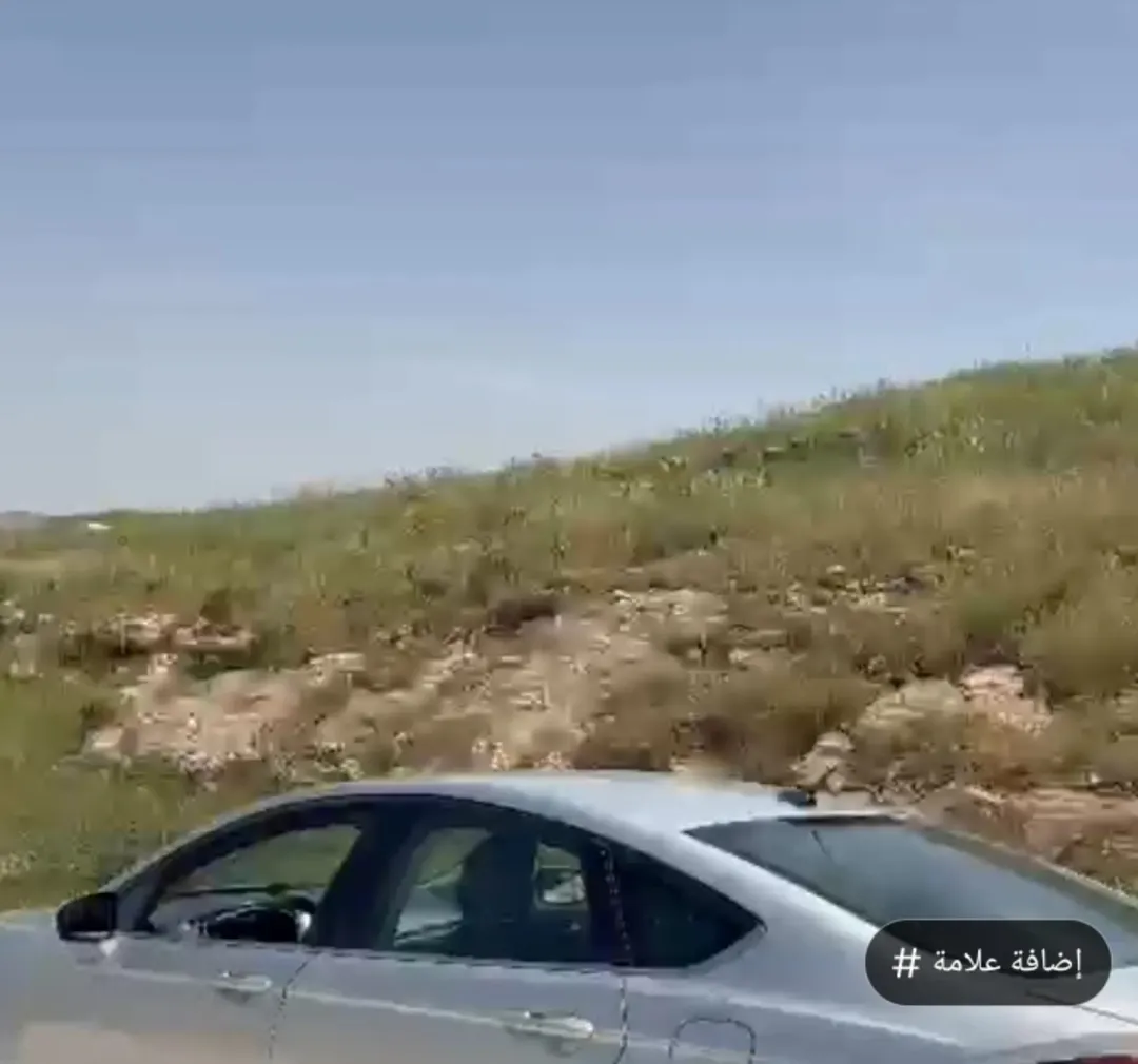 أرض سكنية للبيع في منطقة السرو بإطلالة مميزة