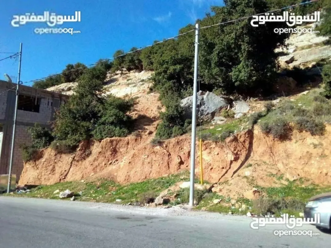 ارض سكني منطقة العين الشرقيه