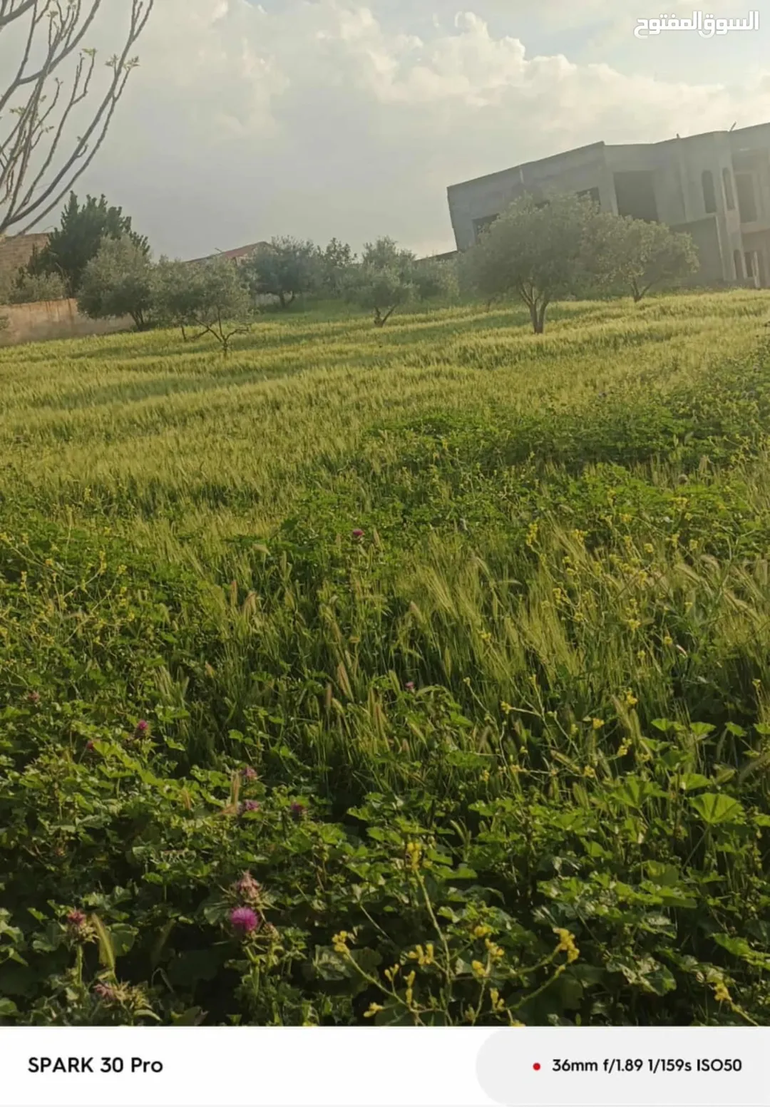 ارض مزرعة للبيع في ناعور إطلالة بانورامية على شارعين