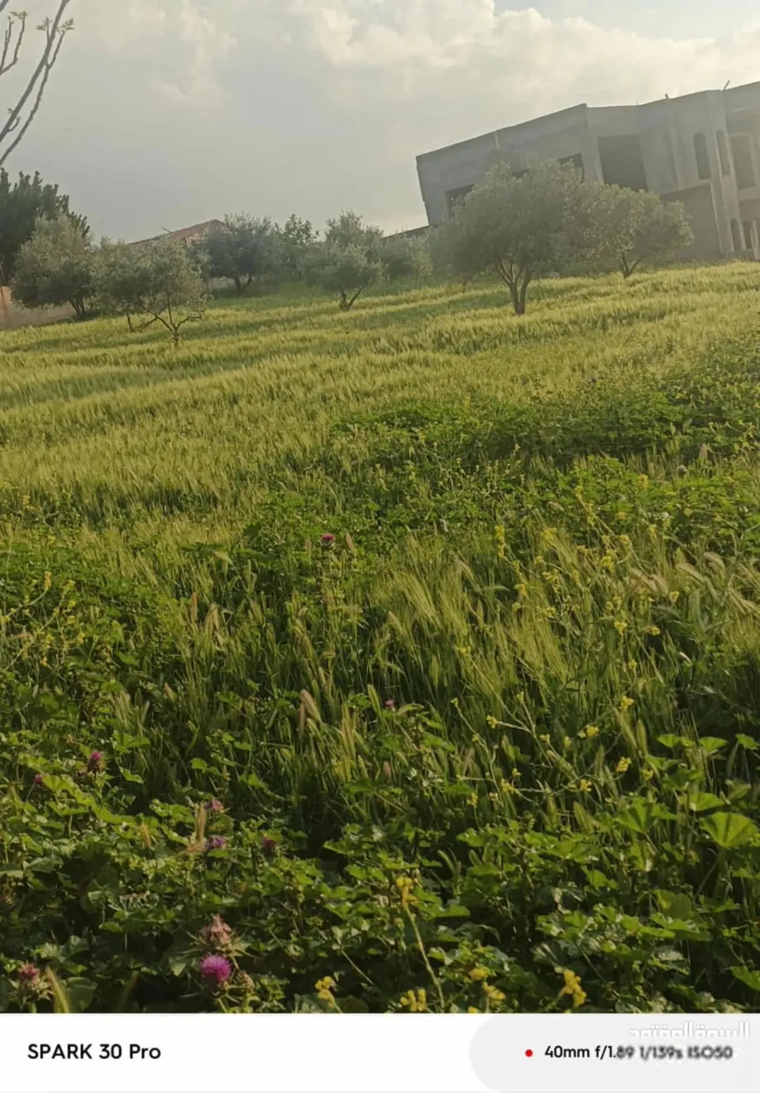 ارض مزرعة للبيع في ناعور إطلالة بانورامية على شارعين