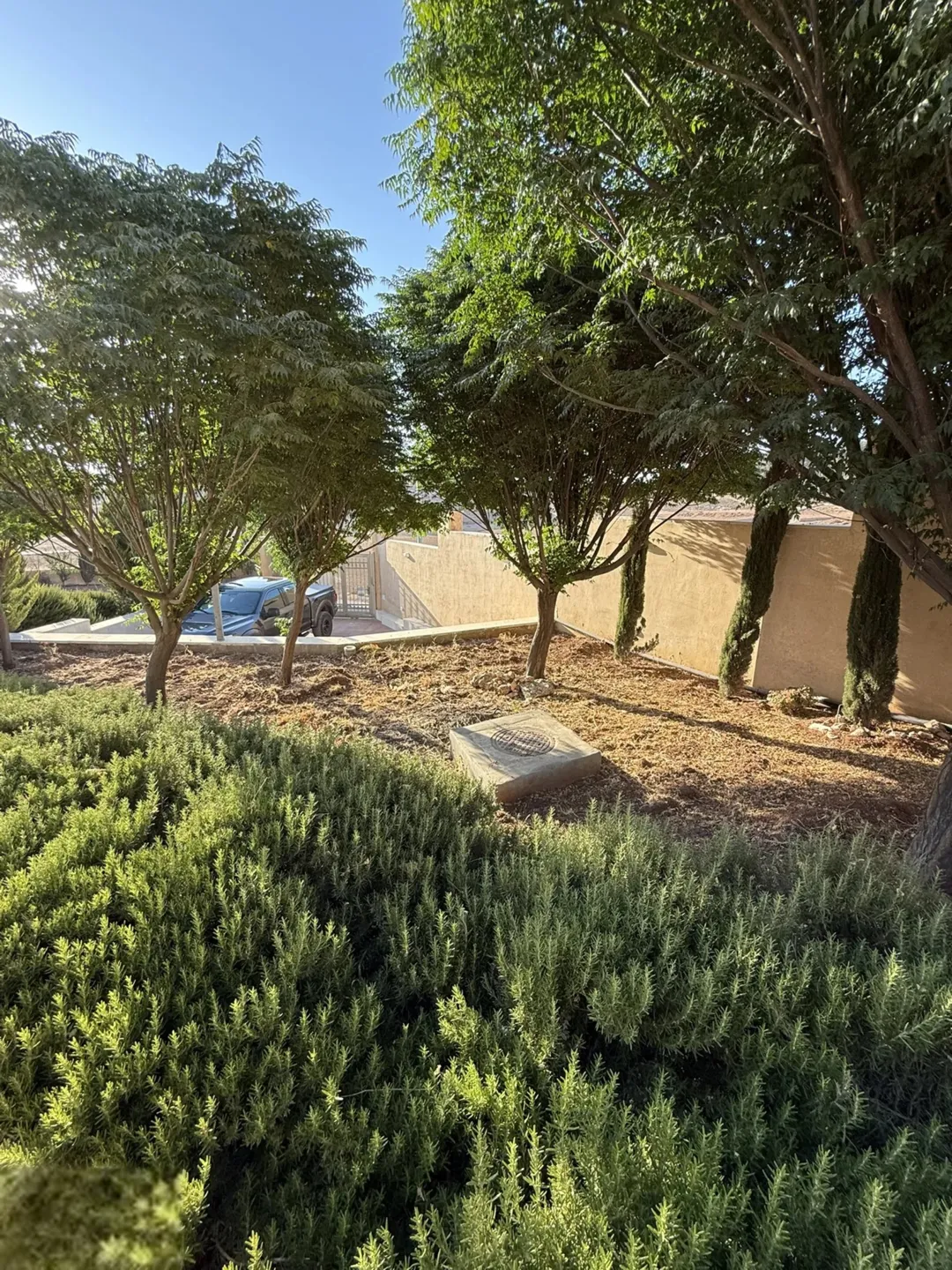 مزرعة فاخرة للبيع في أم الكندم – طريق المطار