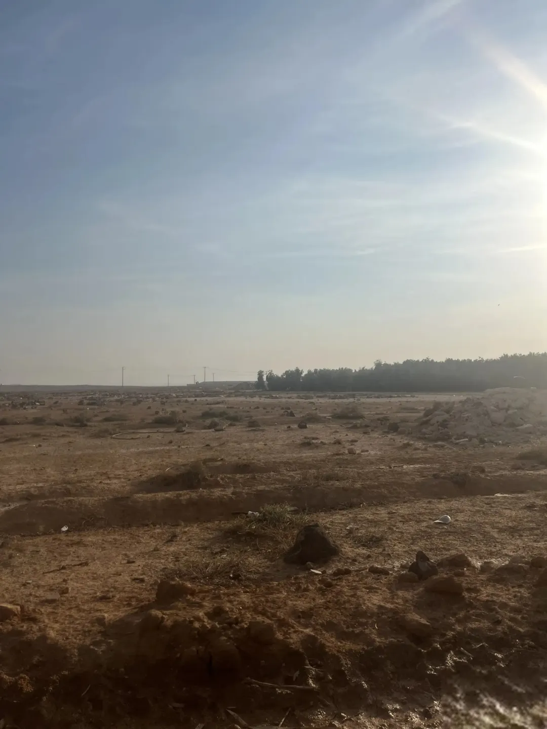 10 دنم قوشان مستقل قريبة من قصر الحلابات الشرقي [قاع خنا]
