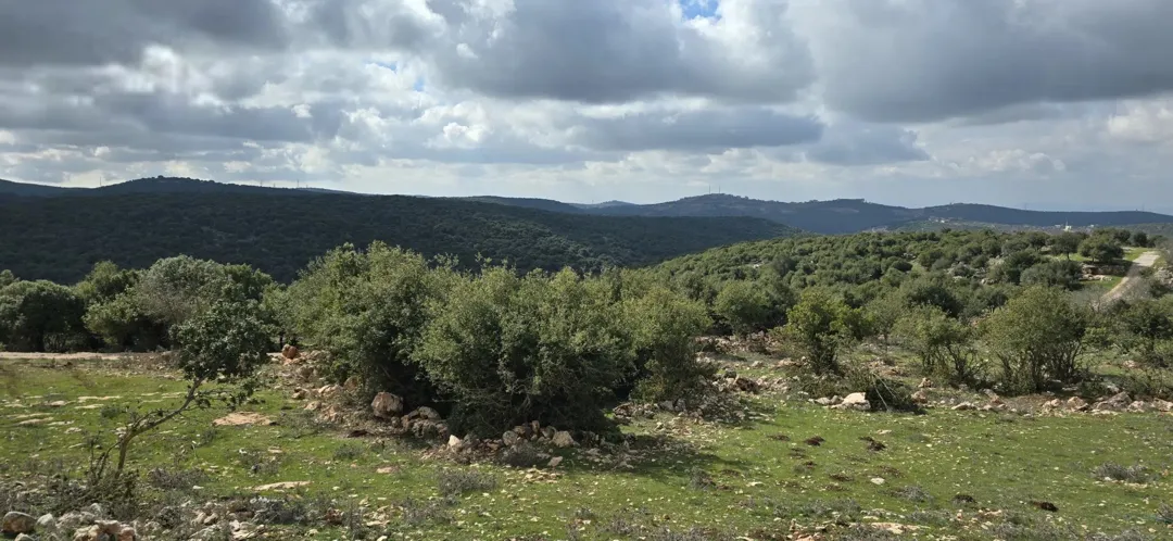 ارض مميزة في سامتا عجلون مثالية لبناء منزل ريفي أو مزرعة