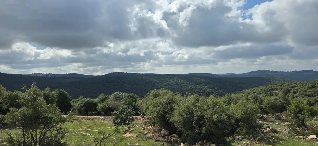 ارض مميزة في سامتا عجلون مثالية لبناء منزل ريفي أو مزرعة