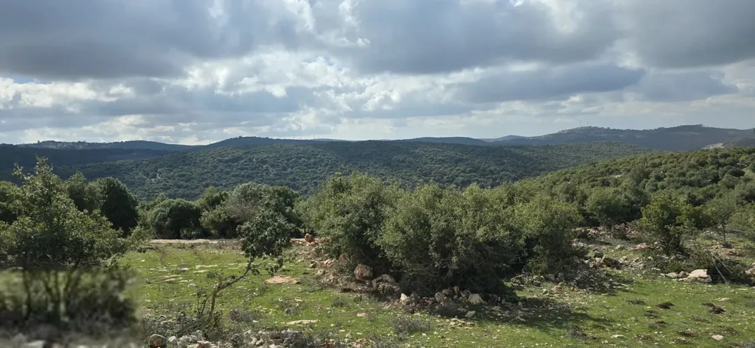 ارض مميزة في سامتا عجلون مثالية لبناء منزل ريفي أو مزرعة