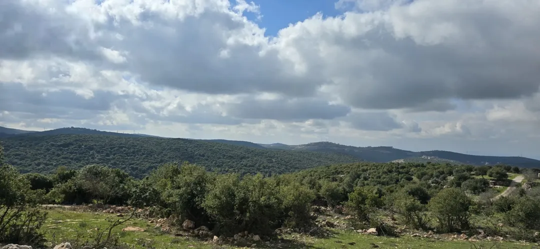 ارض مميزة في سامتا عجلون مثالية لبناء منزل ريفي أو مزرعة