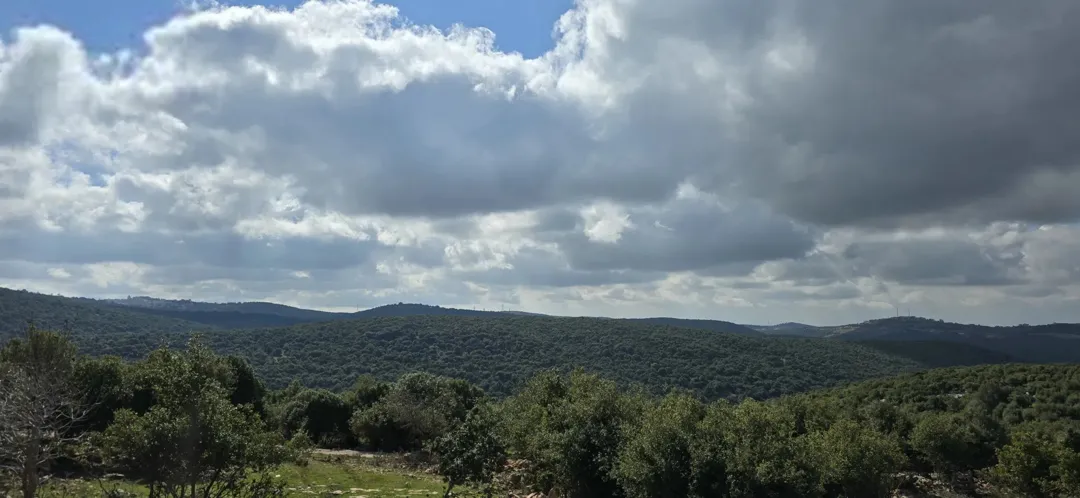 ارض مميزة في سامتا عجلون مثالية لبناء منزل ريفي أو مزرعة
