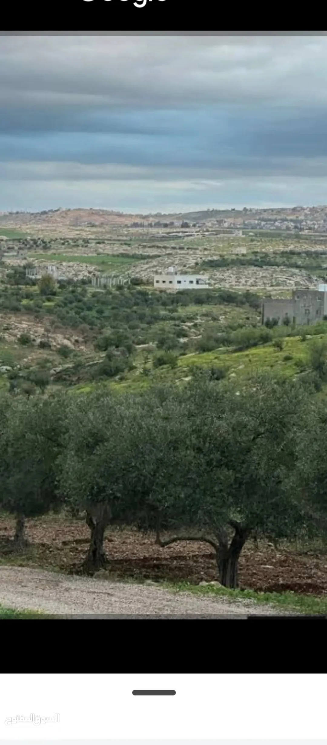 أرض زراعية مميزة للبيع في غرب إربد – كفر رحتة
