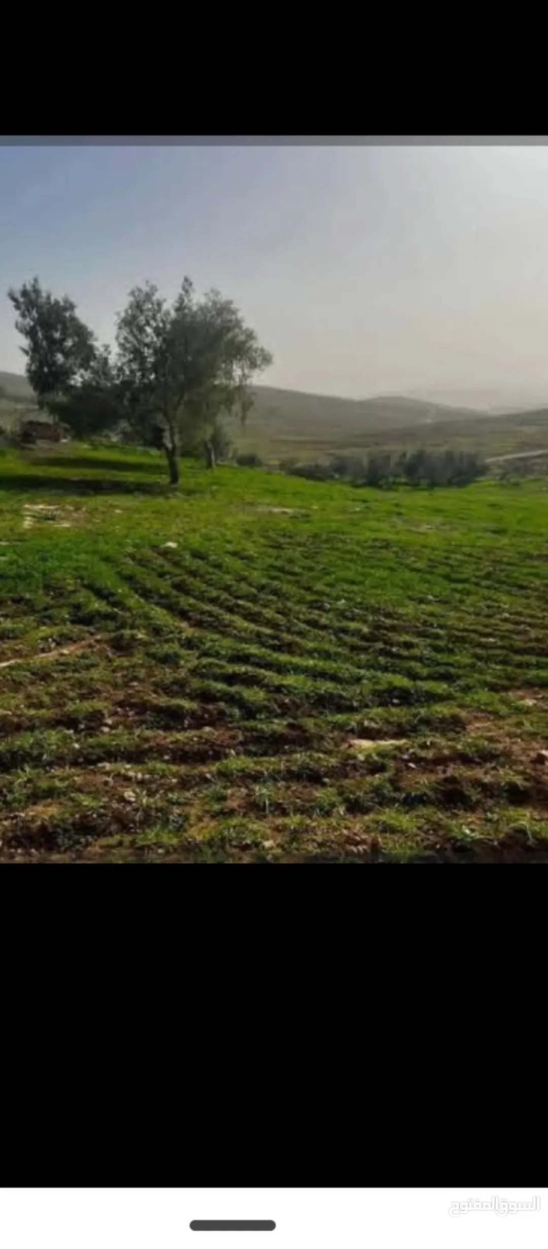 أرض زراعية مميزة للبيع في غرب إربد – كفر رحتة