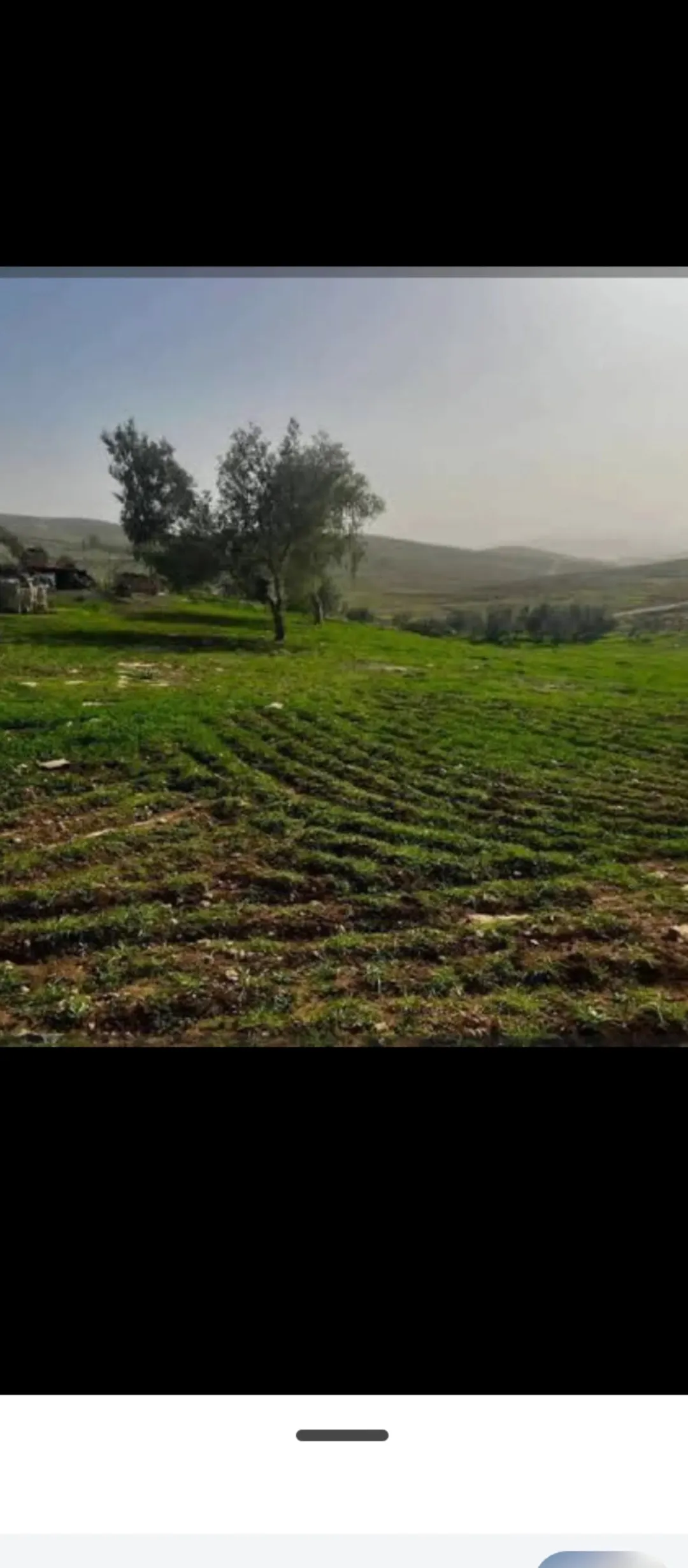 أرض زراعية مميزة للبيع في غرب إربد – كفر رحتة