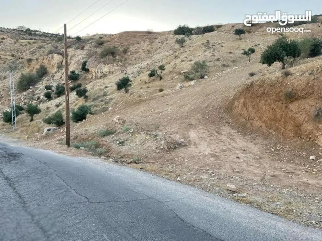 قطعة أرض مميزة بإطلالة بانورامية على البحر الميت