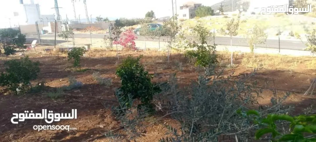 قطعة أرض سكنية فاخرة للبيع في لواء عين الباشا شمال عمان