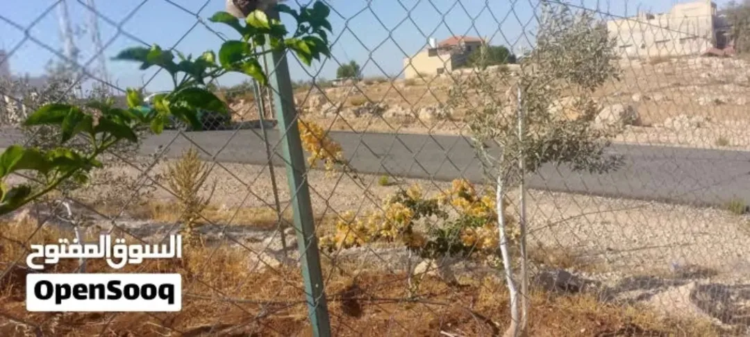 قطعة أرض سكنية فاخرة للبيع في لواء عين الباشا شمال عمان