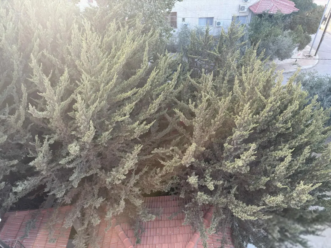 فيلا سكنية وتجارية للبيع في إربد – الحي الجنوبي