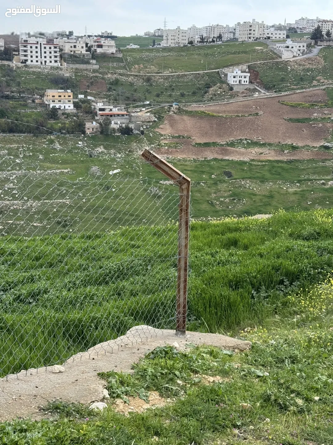 أرض زراعية وسكنية مميزة للبيع في السلط – السرو