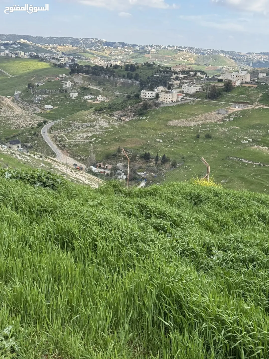أرض زراعية وسكنية مميزة للبيع في السلط – السرو