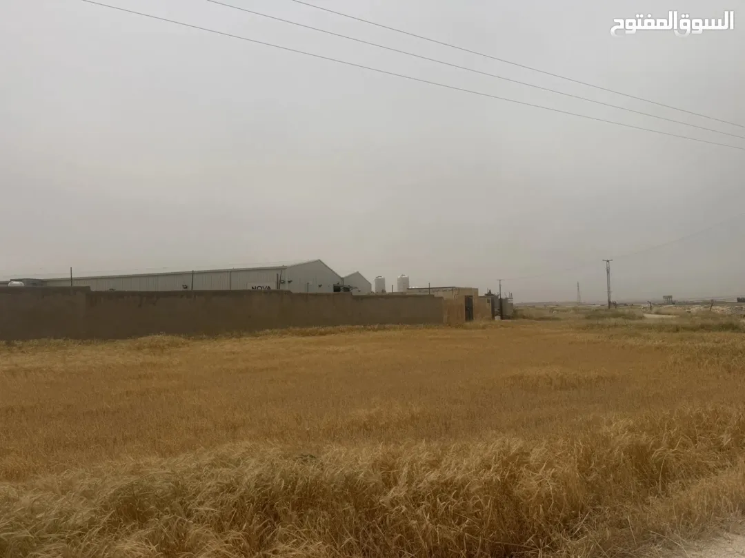 أرض صناعية للبيع في الموقر بموقع استراتيجي