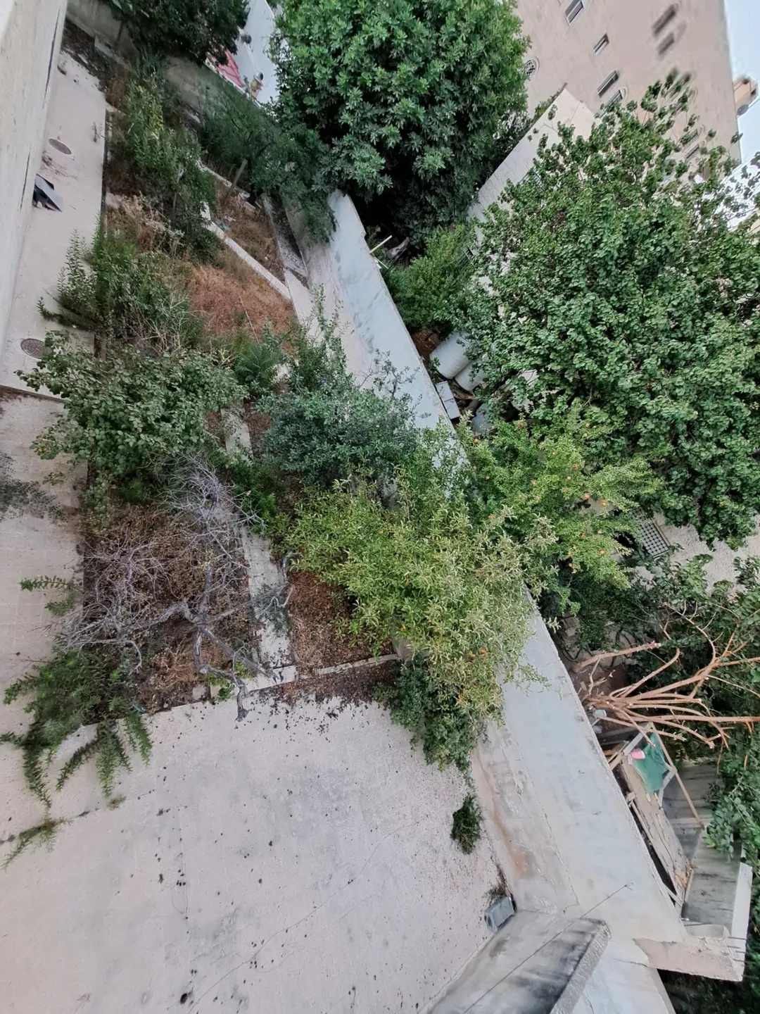 منزل مستقل للبيع الجبيهة/ دوار المنهل- للبيع المستعجل في منطقة هادئة بمساحة ارض دونم و بناء 500م .
