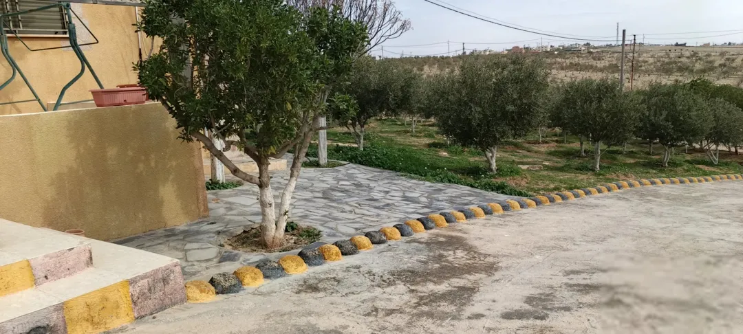 مزرعة زراعية مميزة ومنظمة