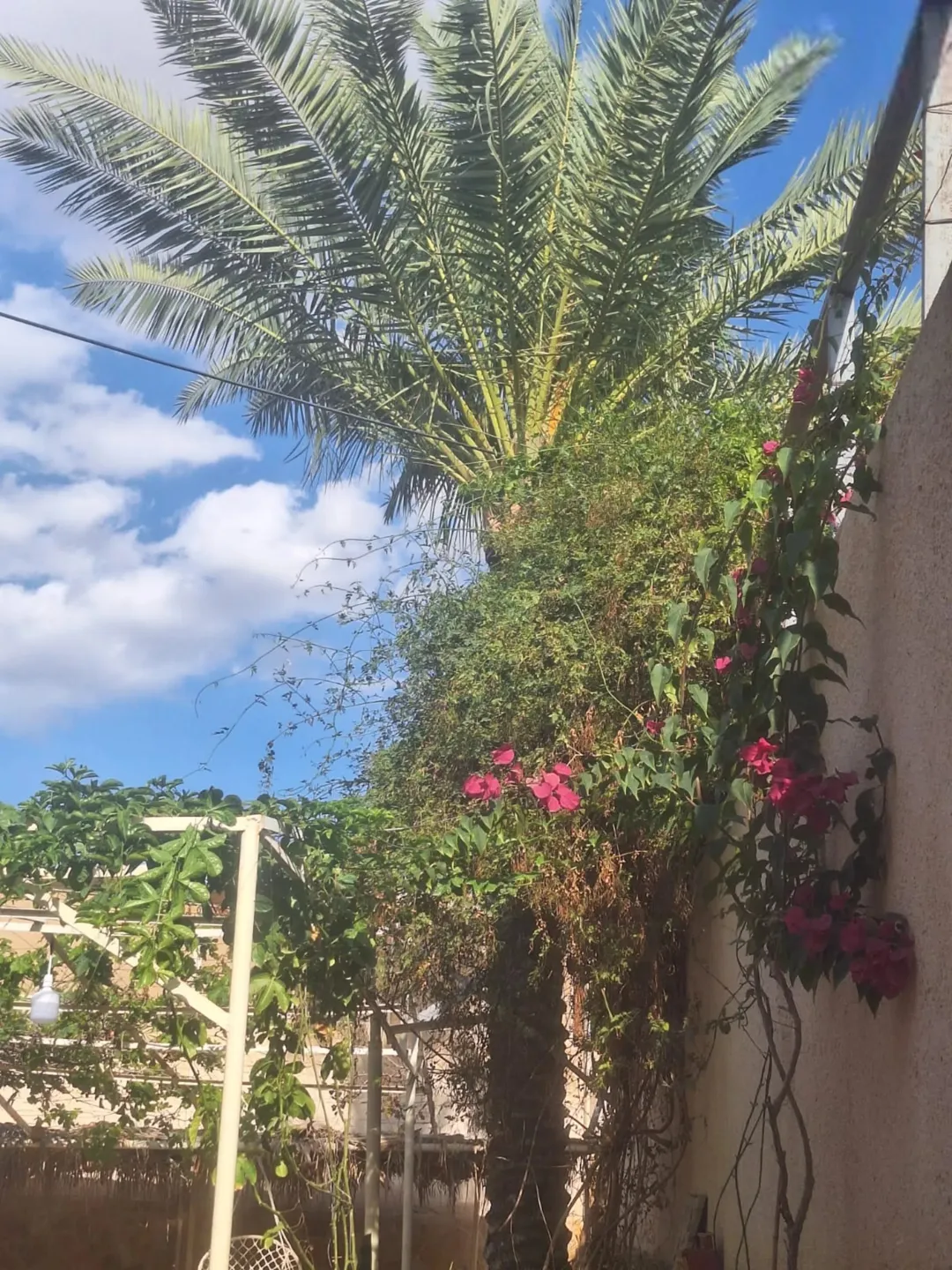 بيت مستقل مع مسبح