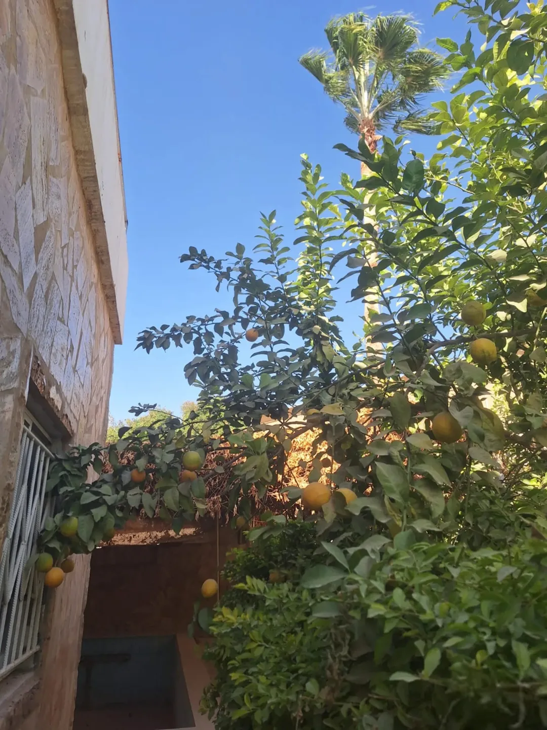 بيت مستقل مع مسبح