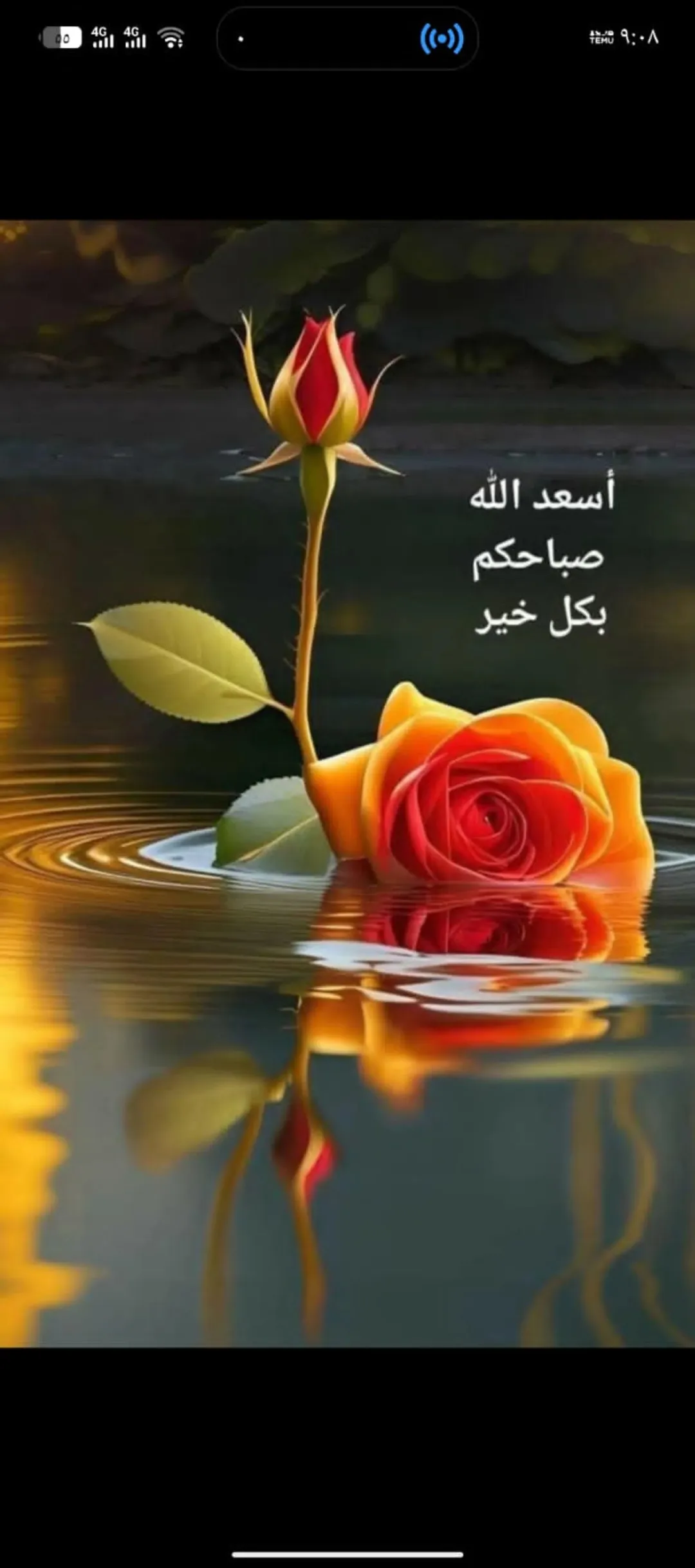 بيت للبيع في