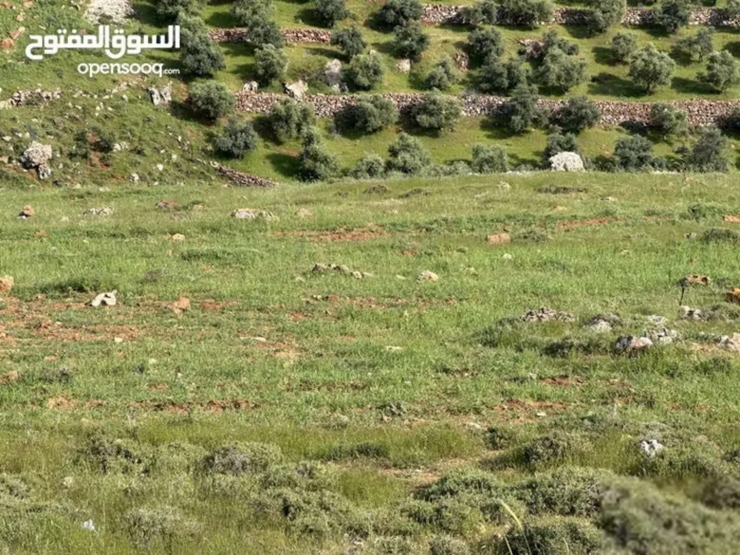 ارض مميزة في غرب عمان – المشبك – 675 مترًا مربعًا
