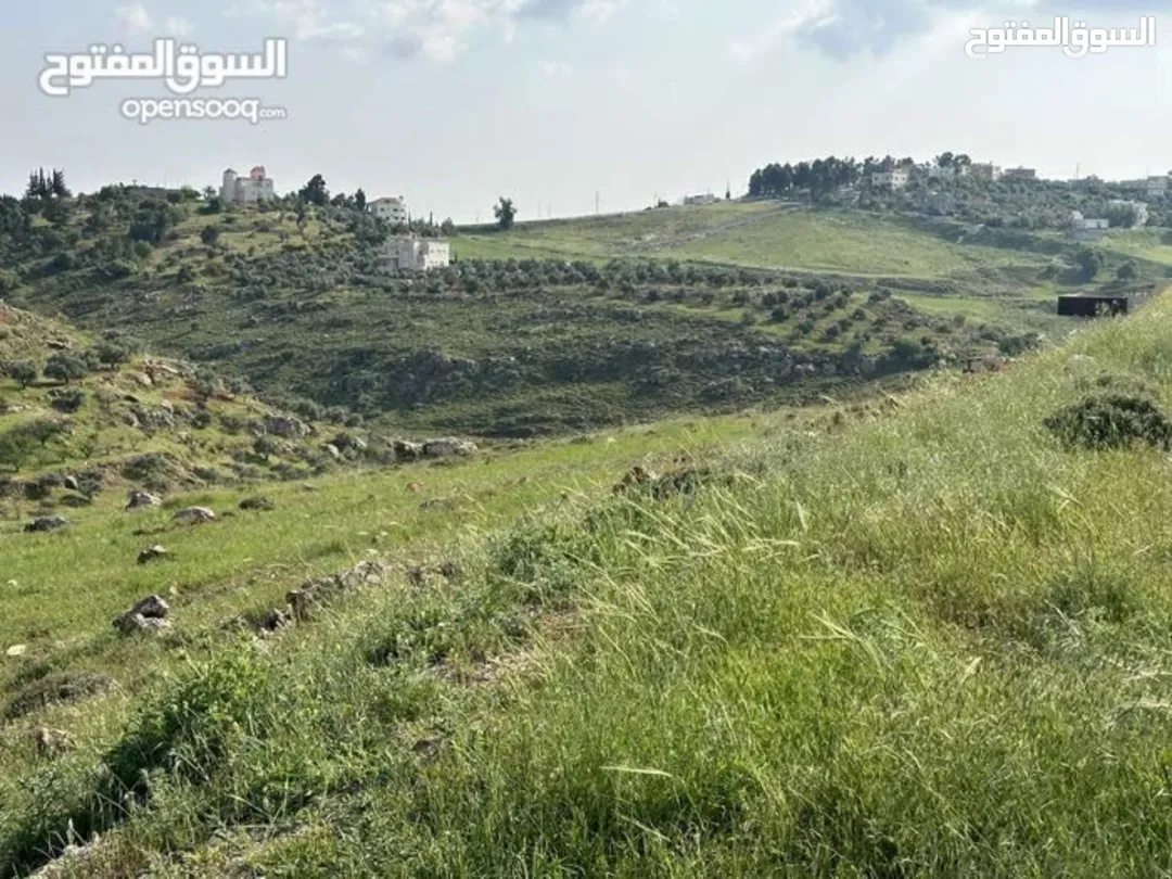 ارض مميزة في غرب عمان – المشبك – 675 مترًا مربعًا
