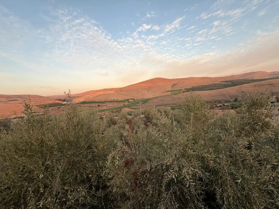 مزرعة حديثة وجديدة للبيع