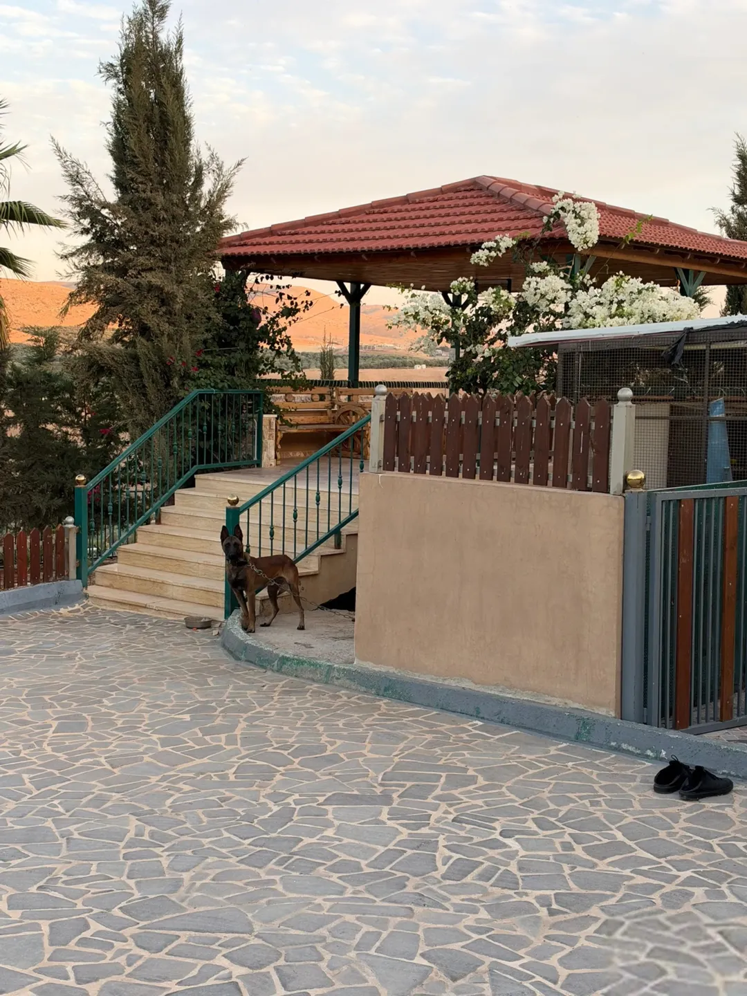 مزرعة حديثة وجديدة للبيع