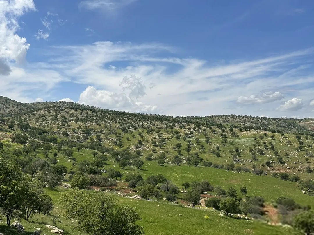 مزرعة فينيسيا فاخرة في العالوك 3900م2 فيلا 170م2 طابقين 3 غرف نوم تشطيب ملوكي للبيع