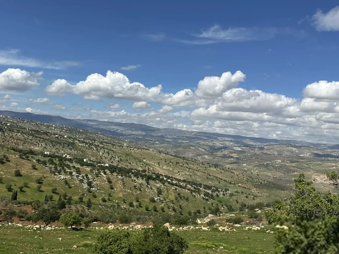 مزرعة فينيسيا فاخرة في العالوك 3900م2 فيلا 170م2 طابقين 3 غرف نوم تشطيب ملوكي للبيع