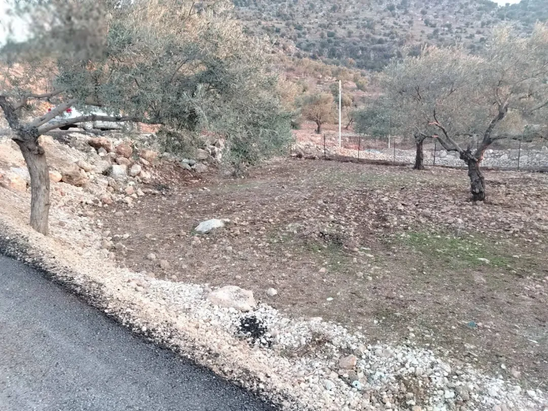 قطعة أرض مميزة للبيع في عجلون