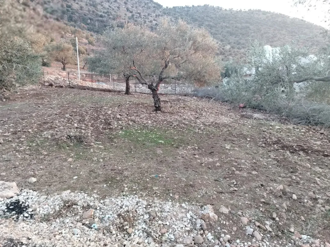 قطعة أرض مميزة للبيع في عجلون