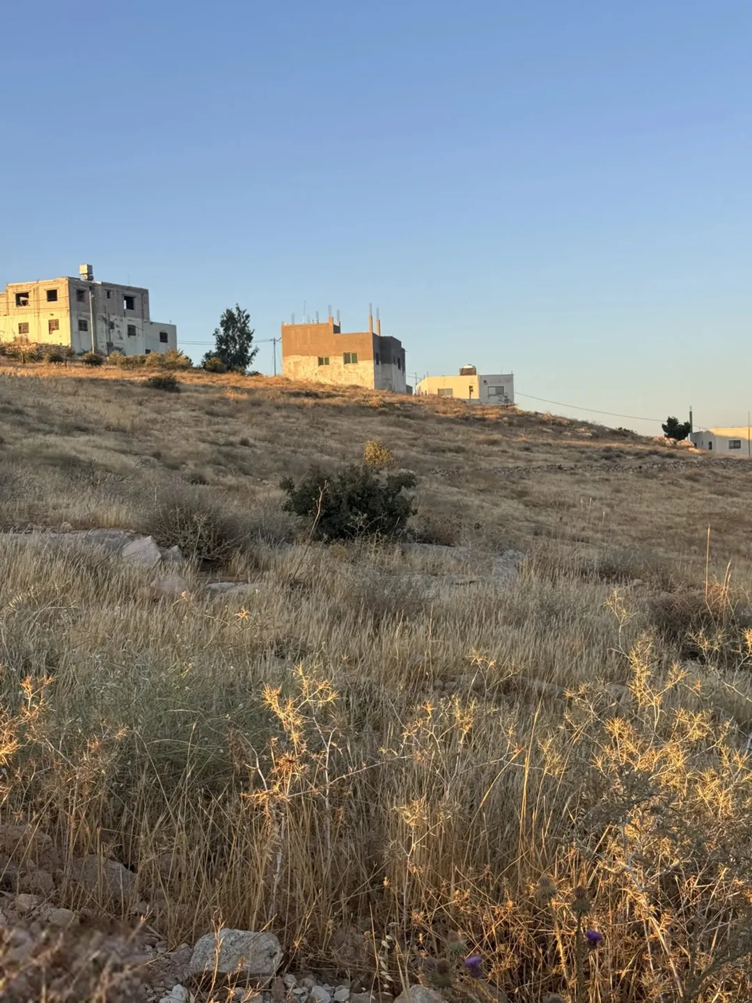 قطعة أرض سكنية مميزة في لواء بلعما – حوض المداوير