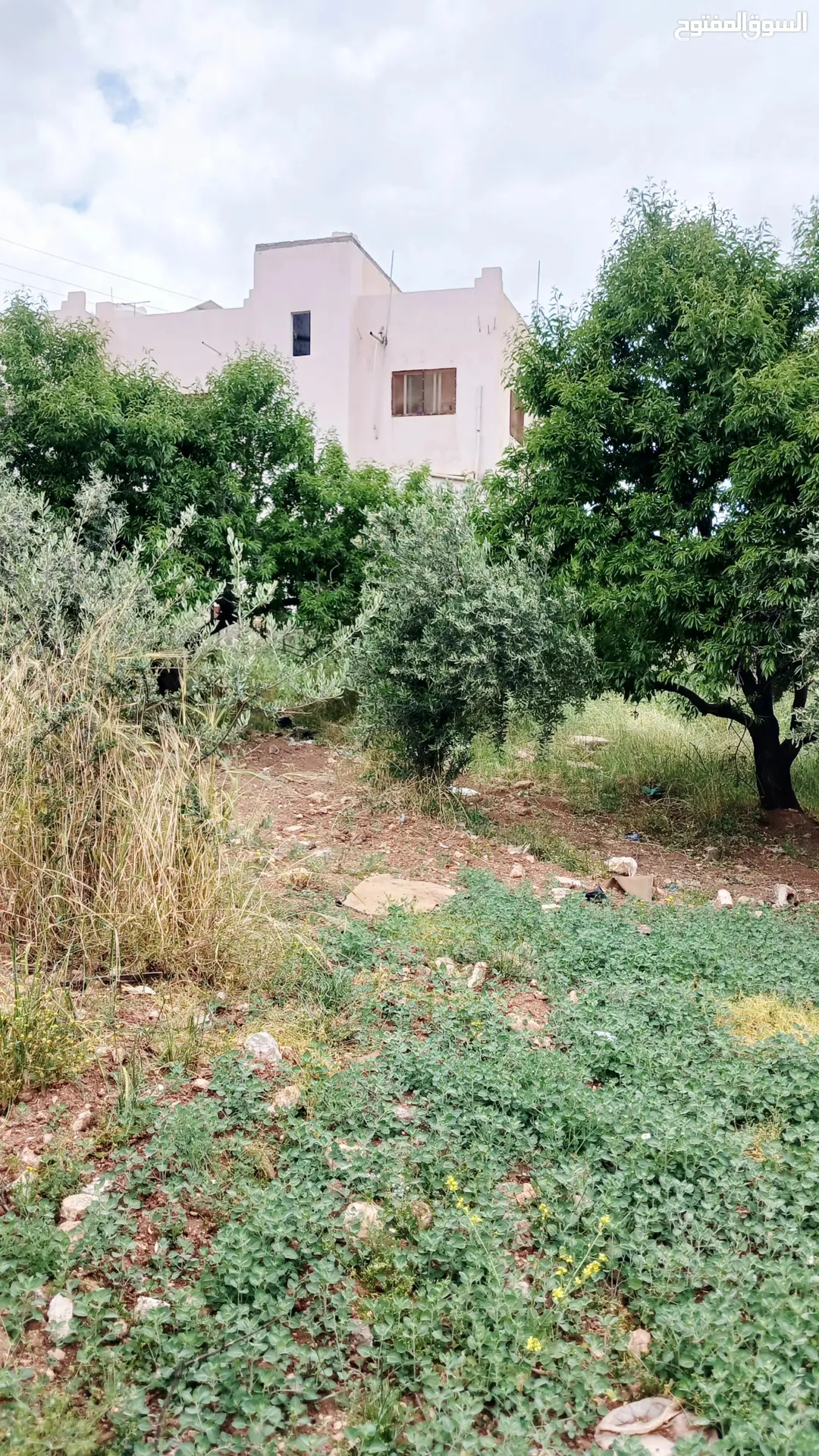 فرصة استثمارية مميزة – أرض للبيع في إربد / النعيمة موقع استراتيجي قريب من الخدمات المتعدده