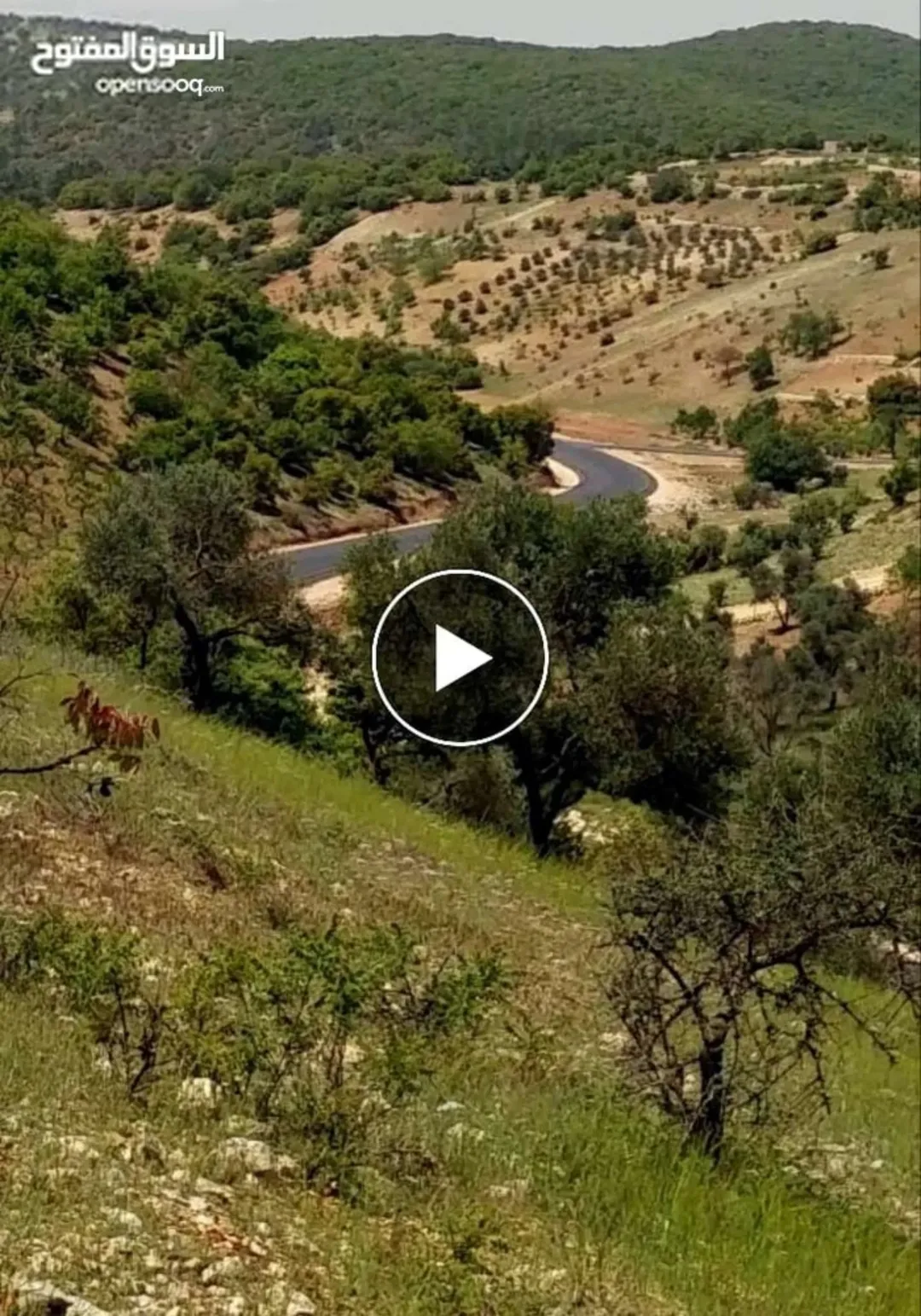 مزرعة للبيع مباشرة