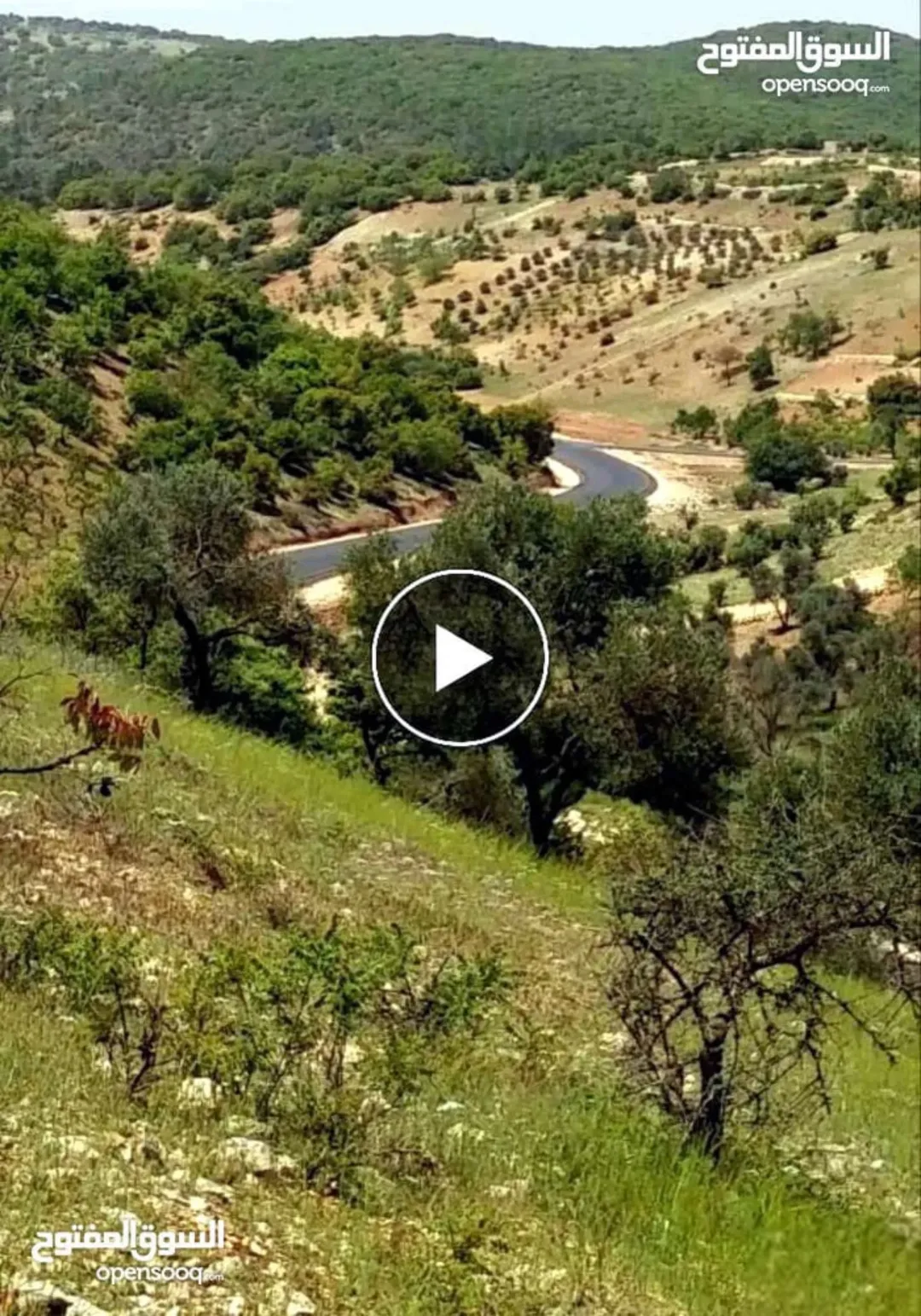 مزرعة للبيع مباشرة