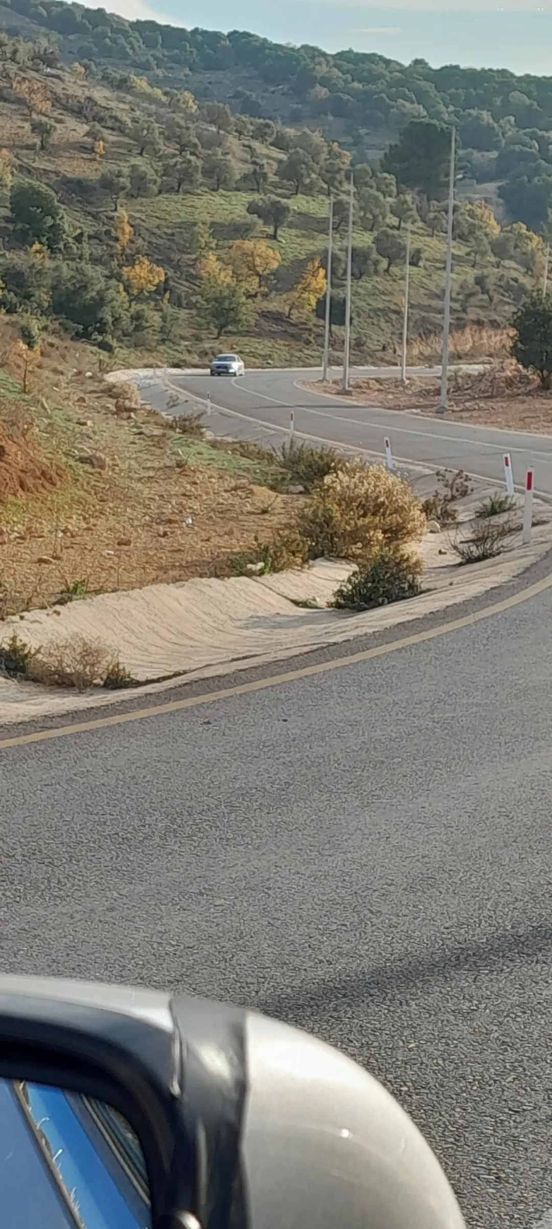 مزرعة للبيع مباشرة