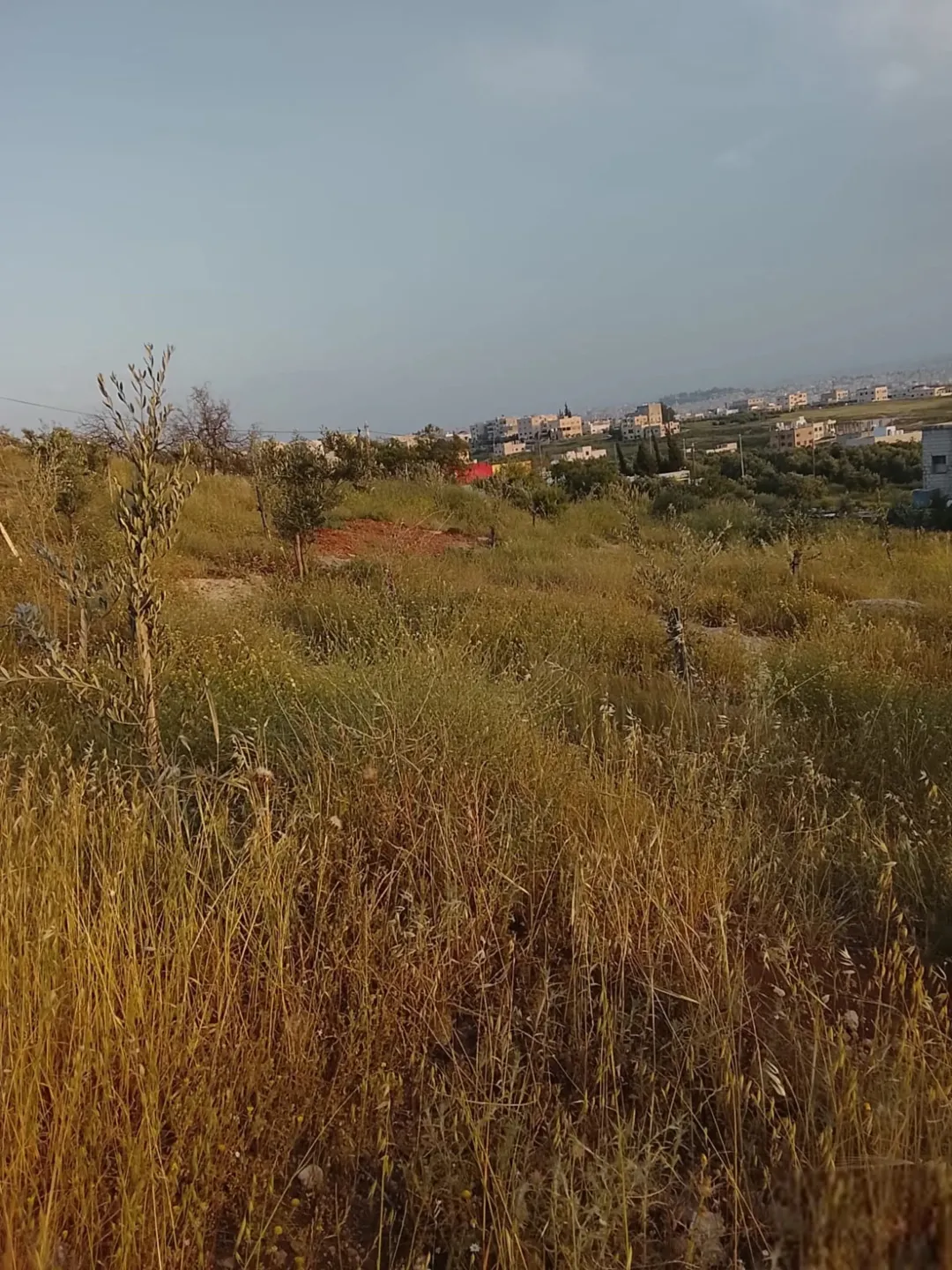 قطعة أرض للبيع مساحة 705