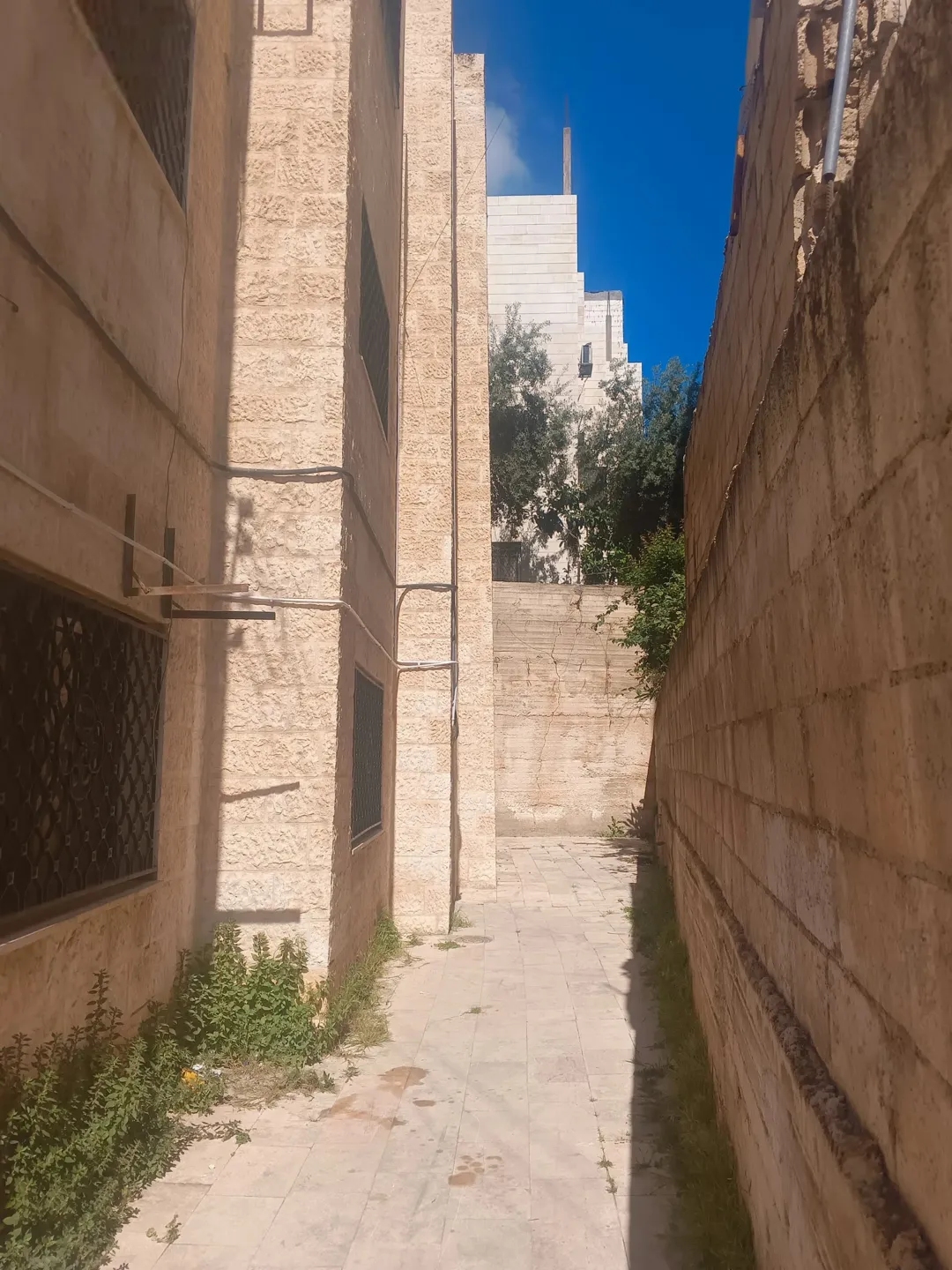 عمارة فاخرة للبيع